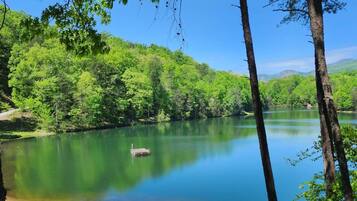 Sun loungers, beach towels
