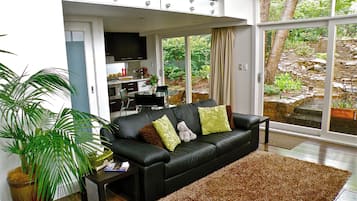 Smart TV, caminetto, lettore DVD, libri