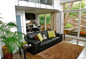 TV connectée, cheminée, lecteur de DVD, livres