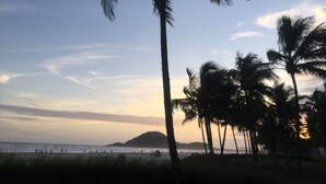A beach with palm trees and a distant island. - Renovated building, 170m2, 4 bedrooms - air conditioning, terrace and barbecue, beachfront. (Bertioga)