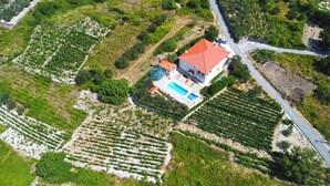 Vue aérienne d’une propriété comprenant une piscine, des rangées de vignes et une maison avec un toit rouge.