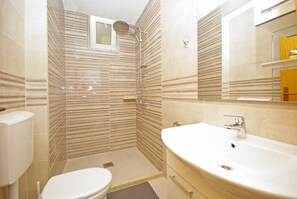 Combined shower/bathtub, hair dryer, towels, toilet paper