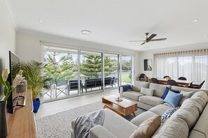 Smart TV, DVD player, books