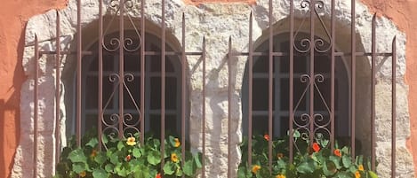 Detalle del exterior