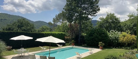 Una piscina con lettini e ombrelloni, circondata da un giardino curato e un albero grande.