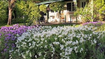 Área da propriedade