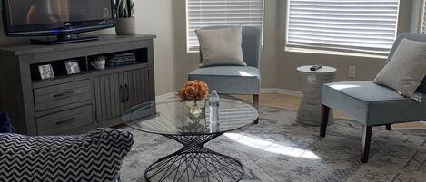 TV, fireplace, books