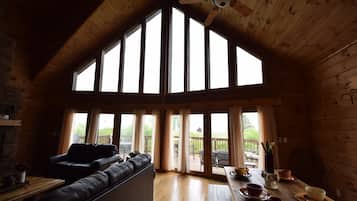 Smart TV, fireplace, DVD player, books