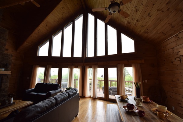 Una Smart TV, una chimenea, un reproductor de DVD, libros