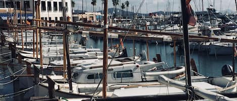 Marina