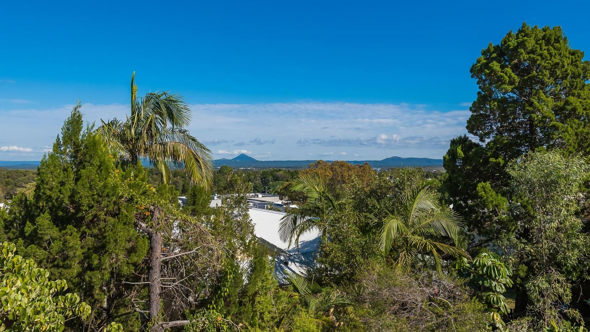 Eagles Nest - Nestled up on Noosa Hill with Hinterland View — image 12