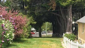 Ein Wohngebiet mit einem großen Baum, einem weißen Zaun und einem Haus.