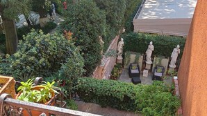 A courtyard with lush greenery, a statue, and a building in the background.