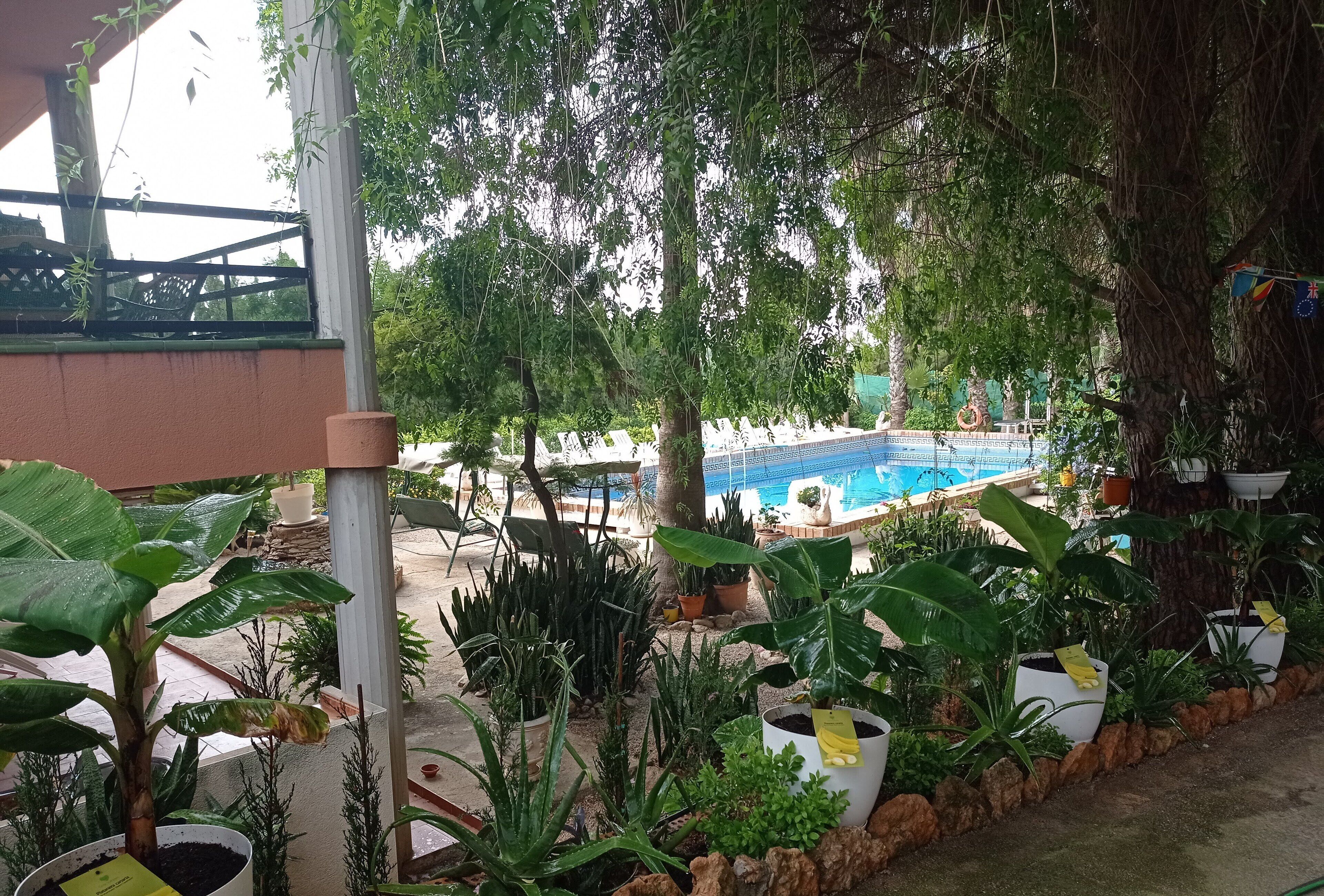 Piscine
