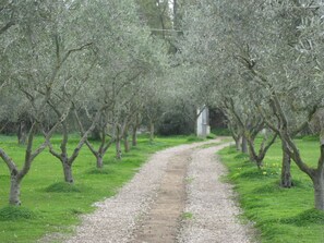 Jardines del alojamiento