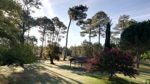 A serene outdoor area with a wooden gazebo, surrounded by tall trees and a well-maintained lawn. - Mansion - RIMBEZ ET BAUDIETS (Rimbez-et-Baudiets)