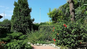 Property grounds - Villa Forio d'Ischia with private descent to the sea (Forio)