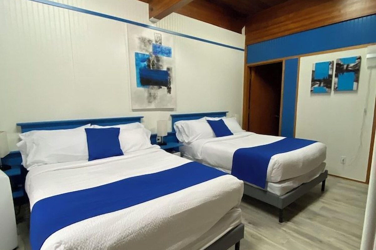 Ropa de cama de alta calidad, colchones Select Comfort, cortinas opacas