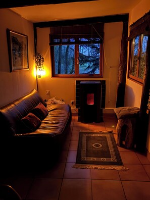 电视、DVD 播放器