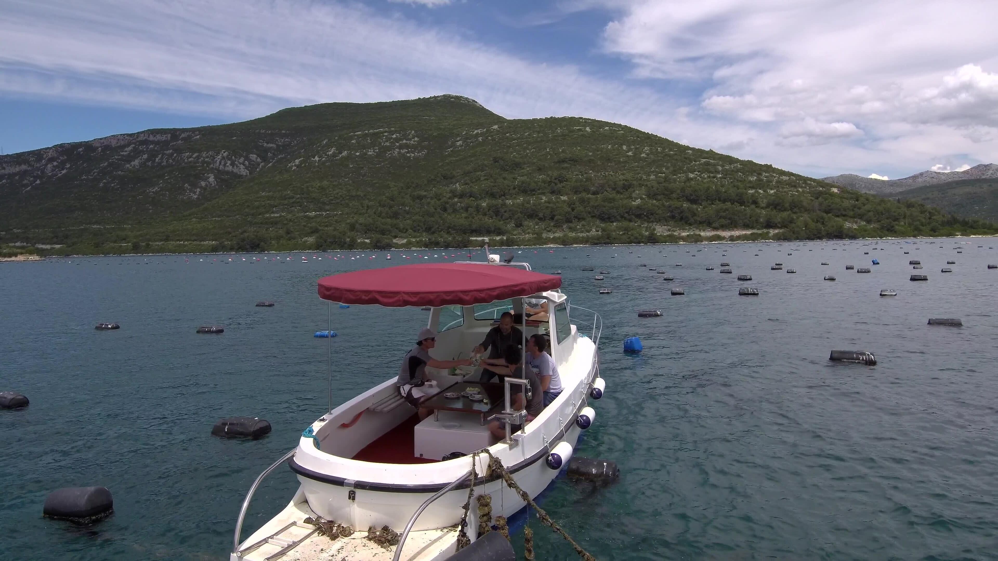 A boat with a red canopy, anchored in calm waters with buoys and a mountainous backdrop.