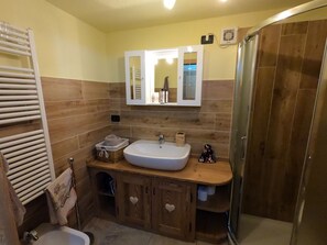 Shower, hair dryer, bidet, towels