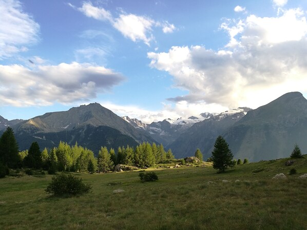 A mountainous landscape with a grassy field and trees. - Cogne - Les petites fleurs of Gran Paradiso - Free Wi-Fi (Cogne)