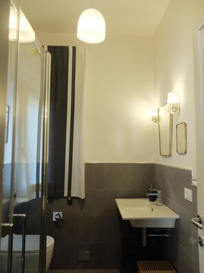 Shower, hair dryer, bidet, towels