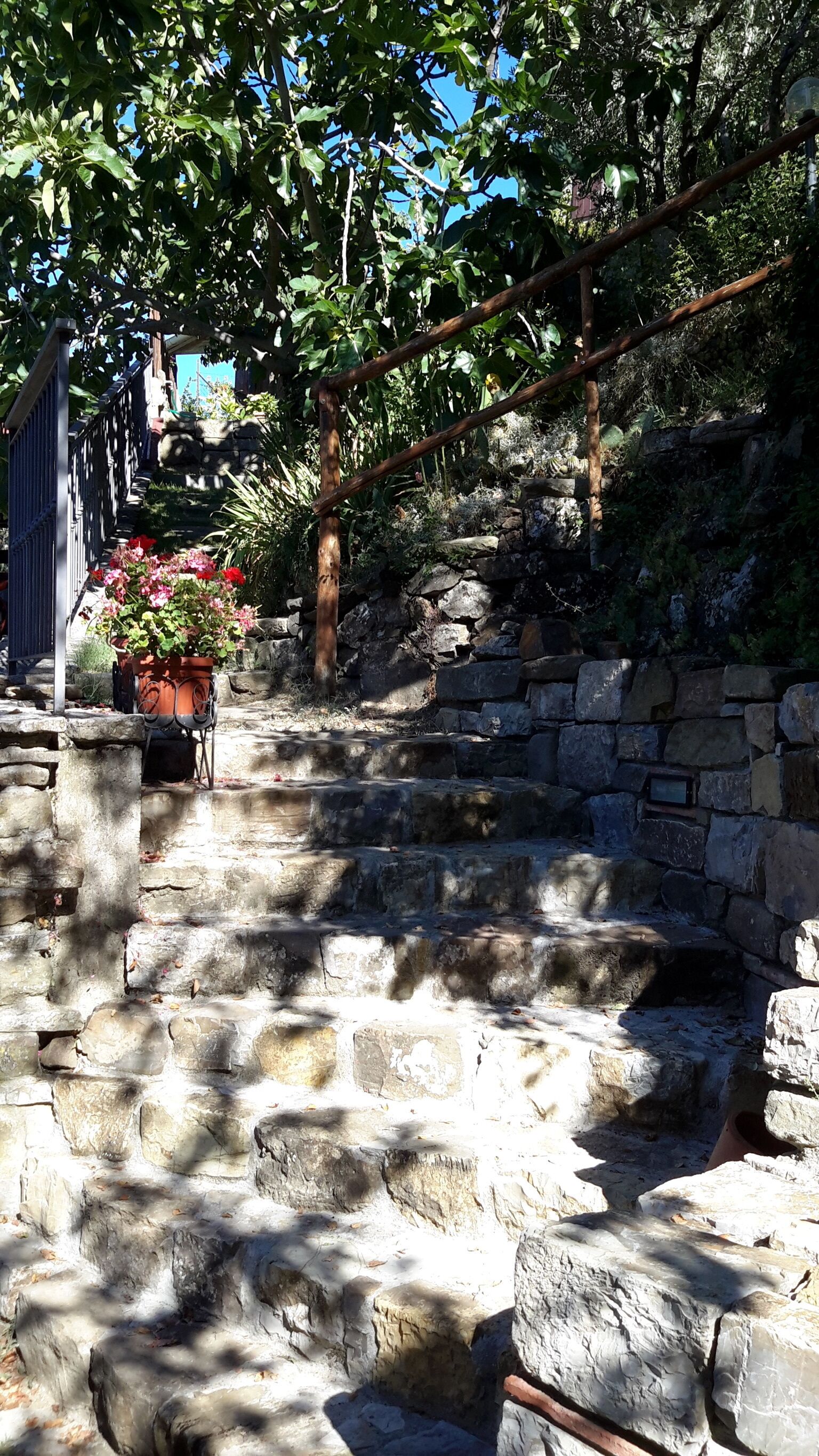 Un escalier en pierre, avec un pot de fleurs placé en haut.