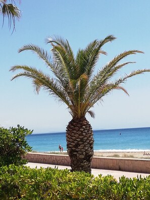Una playa cerca