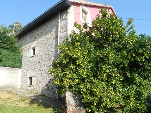 Situated amidst a lush green tree bearing citrus fruits, this charming building offers a serene natural setting.