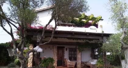 Belle maison à Caños de Meca