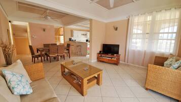 Smart TV, Netflix, DVD player, books