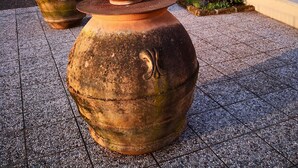 En gårdsplads med store terracotta-krukker med blomster, en bænk og et træ der giver skygge.