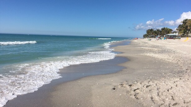 A beach with clear blue water and a sandy shore. There are palm trees and a few people in the distance.