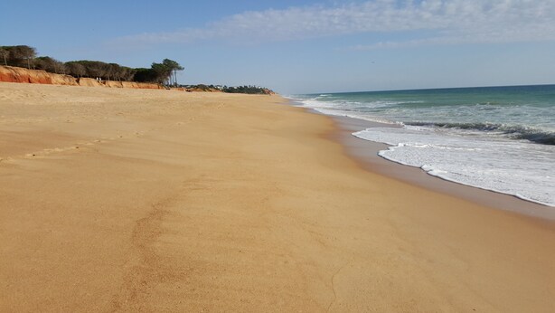 Une vaste plage de sable fin, avec des vagues douces, un ciel dégagé et une végétation clairsemée.