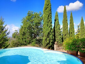 Una piscina rodeada de altos cipreses y un muro de piedra.