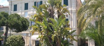 Fin central lägenhet med utsikt över strandpromenaden.