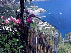 Property grounds - Apartment in a villa with breathtaking views of Amalfi and the sea (Amalfi)