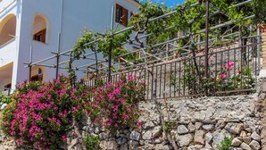 Un muro de piedra con flores rosadas y una valla metálica.