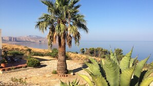 Uma palmeira e agave numa área ajardinada, com vista para o mar e montanhas ao longe.