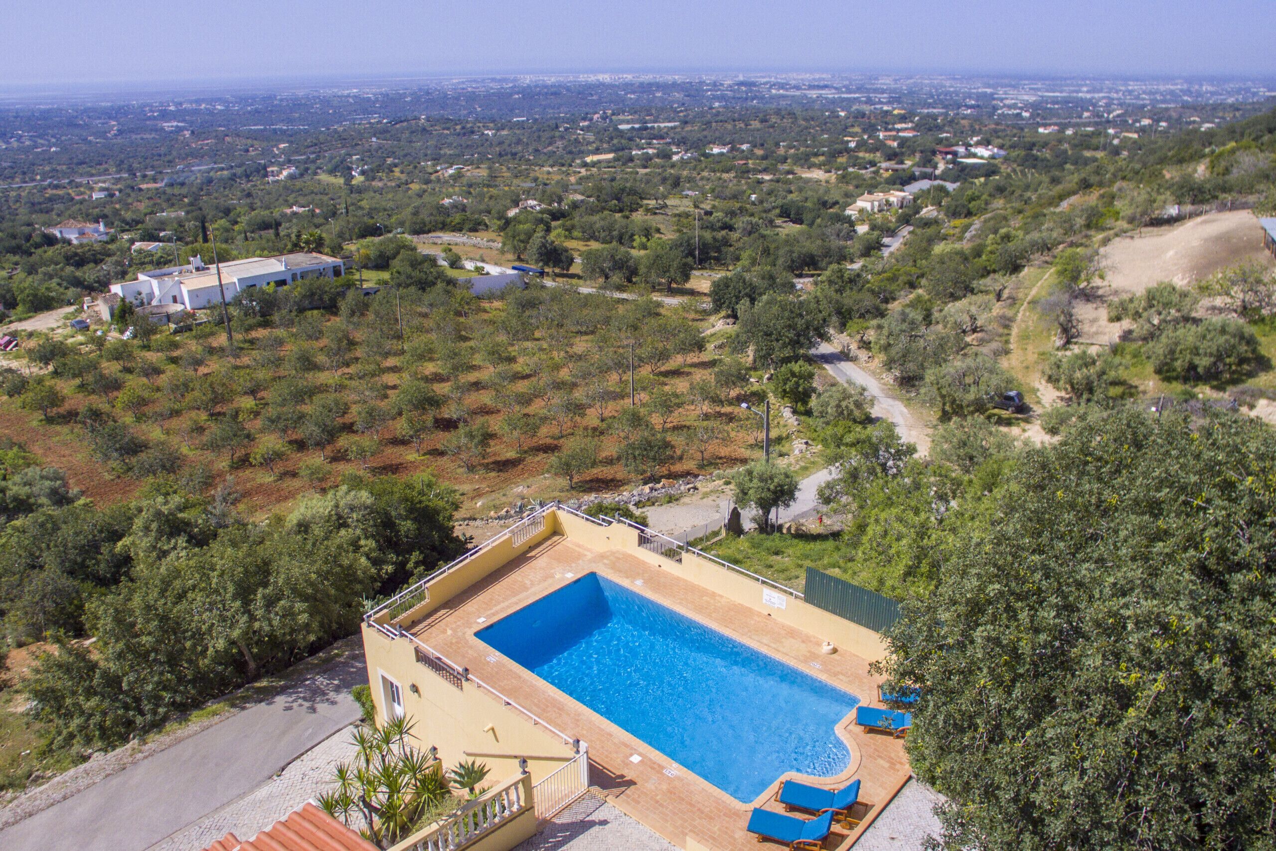 Une piscine avec vue sur un quartier résidentiel.