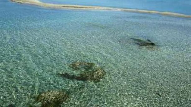 Klar udsigt over en strand med lavt vand og et sandet område i det fjerne.