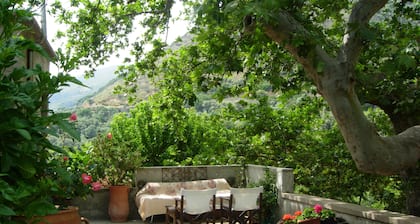 Mansion-House with character near to the best beach of Crete:the lagoon of Elafonisi