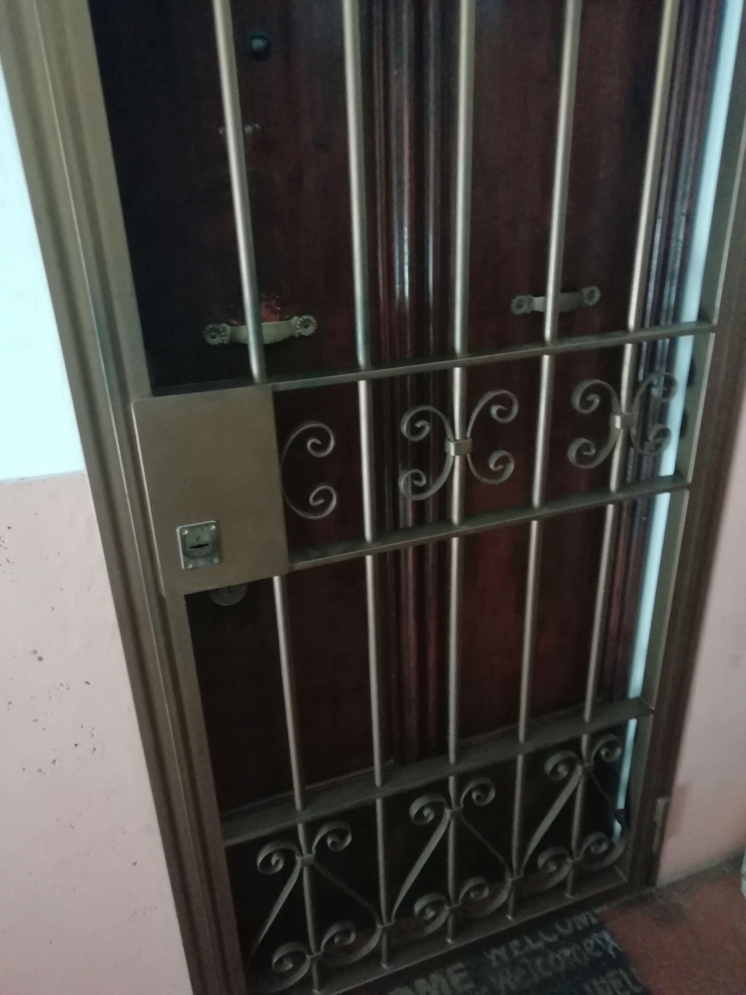 A metal gate with vertical bars and decorative swirls, leading to a door with a handle.