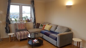 TV, DVD player, books, video library