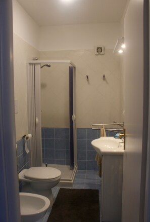 Dusche, Haartrockner, Bidet, Handtücher