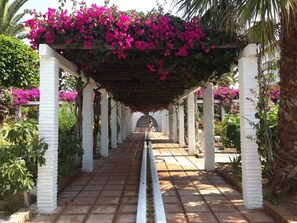 A covered walkway with white columns, surrounded by lush greenery and vibrant pink flowers. - 3 bed apartment, on sea front, sleeps 6, with meet and greet for peace of mind! (Torrox-Costa (Malaga))