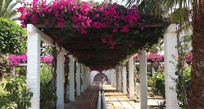 Luxus-3-Bett-Appartement, direkt am Meer, 6 Personen