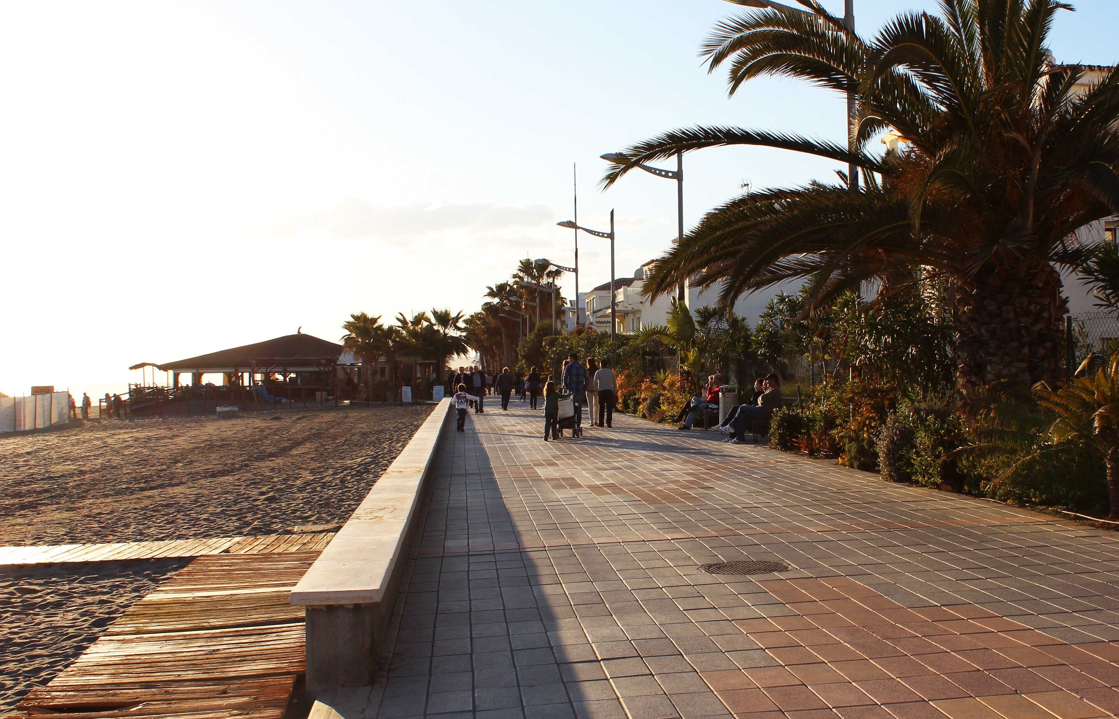 Un camí pavimentat amb palmeres i una platja a un costat.