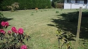 Une cour verdoyante avec une maison blanche, une haie et des fleurs roses.